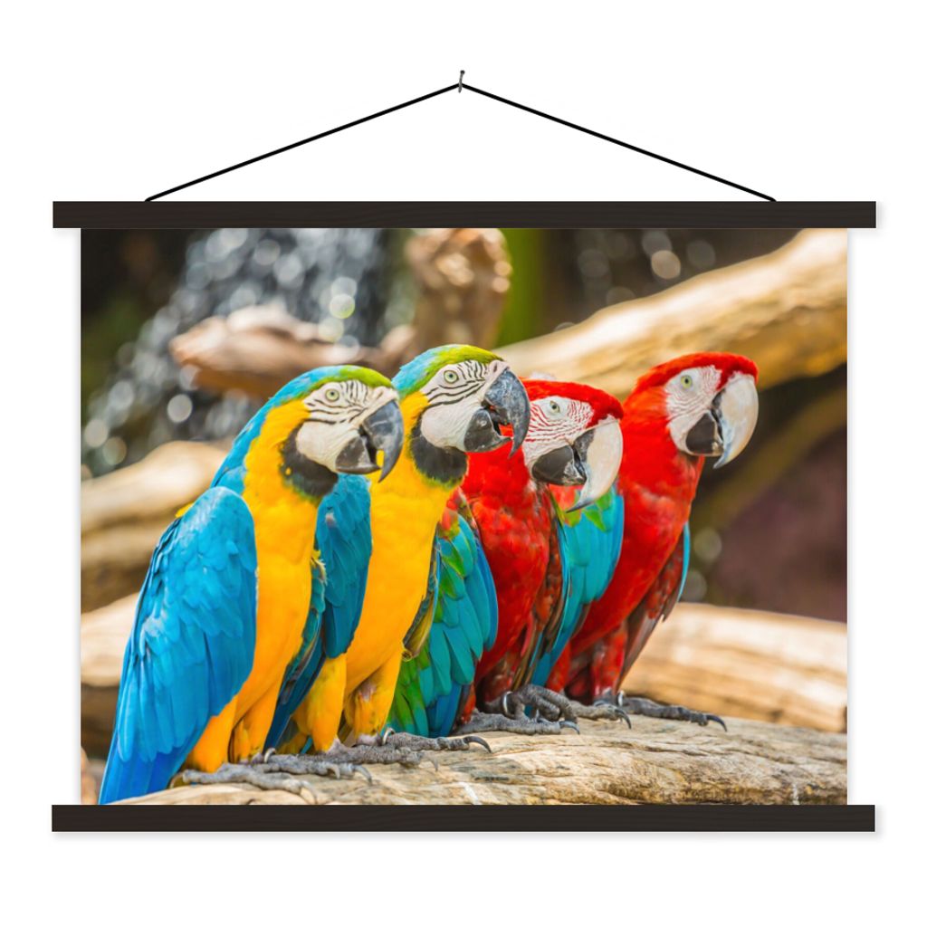 MuchoWow Textilposter Vögel - Papagei - Tropisch - Natur 150x113 cm mit holzfarbenen Rahmen - Poster