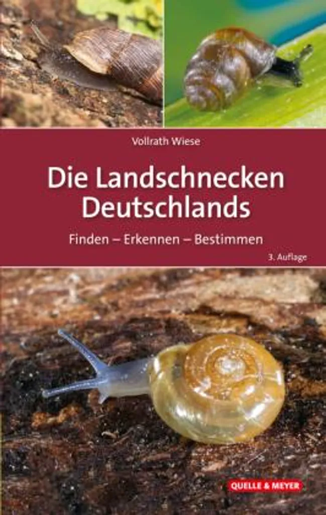 Die Landschnecken Deutschlands : guide d'identification des escargots - 3