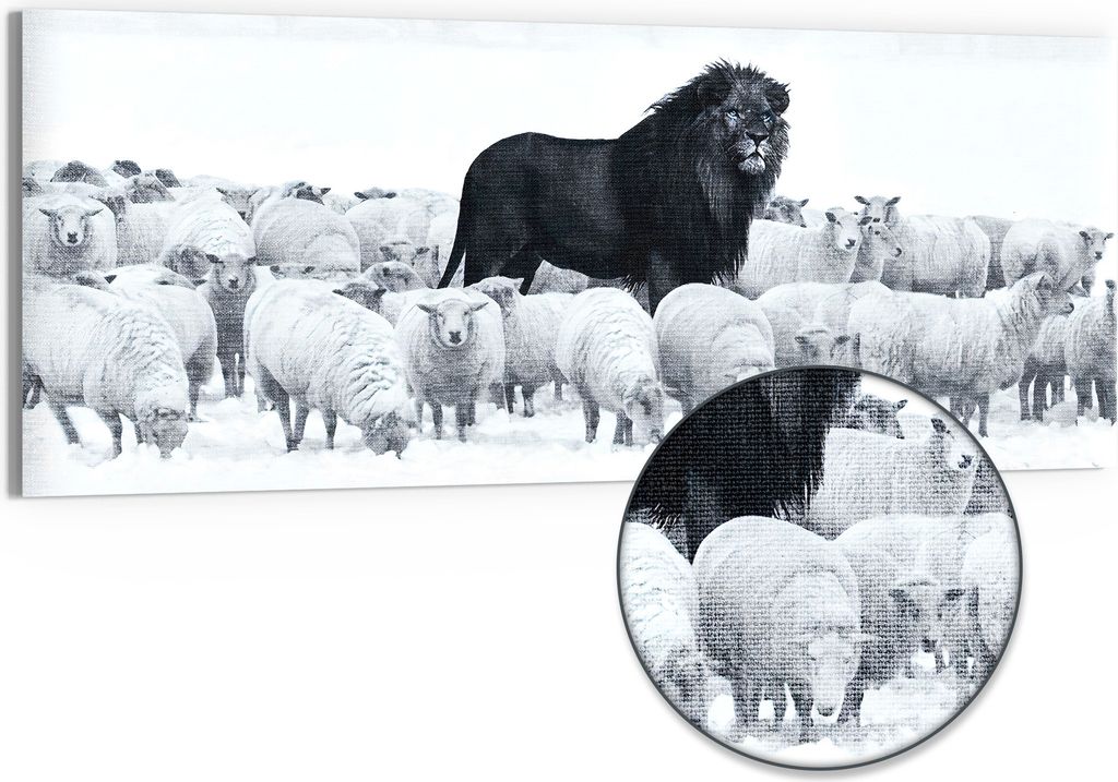 DEQORI Hybrid Leinwand Bild 125x50 cm 'König der Herde' Wandbild Glas flach modern