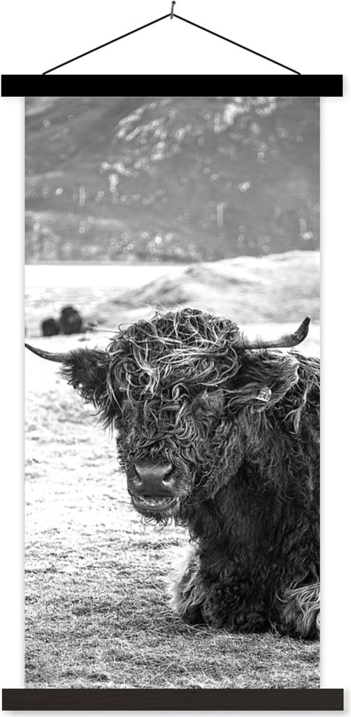 MuchoWow Textilposter Schottisches Hochlandrind - Berg - Tiere 90x180 cm mit schwarzem Rahmen - Dekoration Wohnzimmer