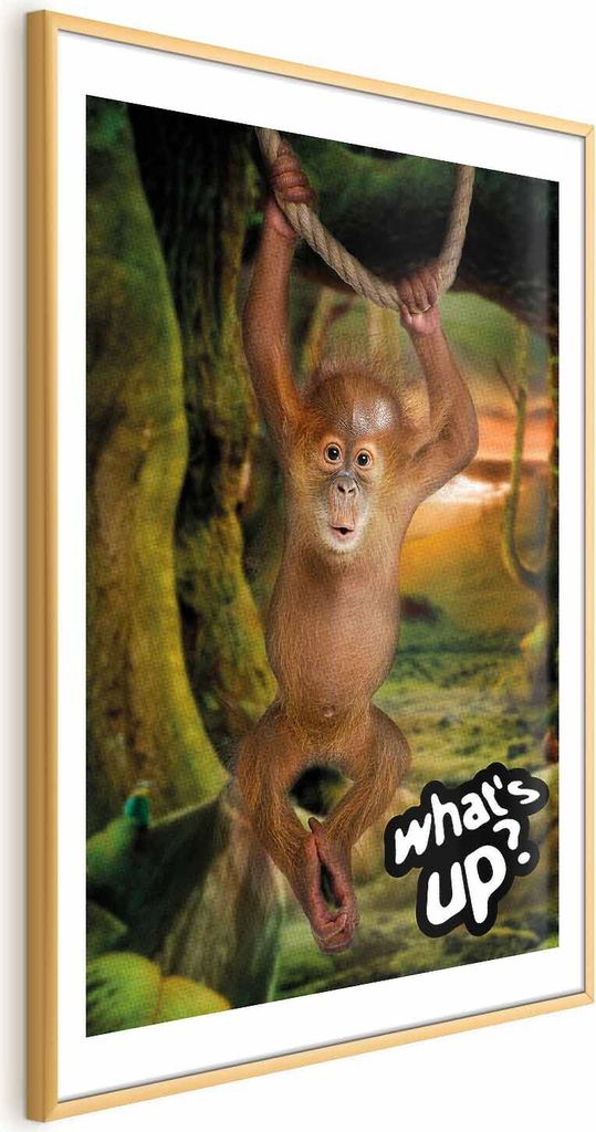 Posterpapier Poster - What's Up? 60x90 cm Für Kinder g-A-0203-ao-a