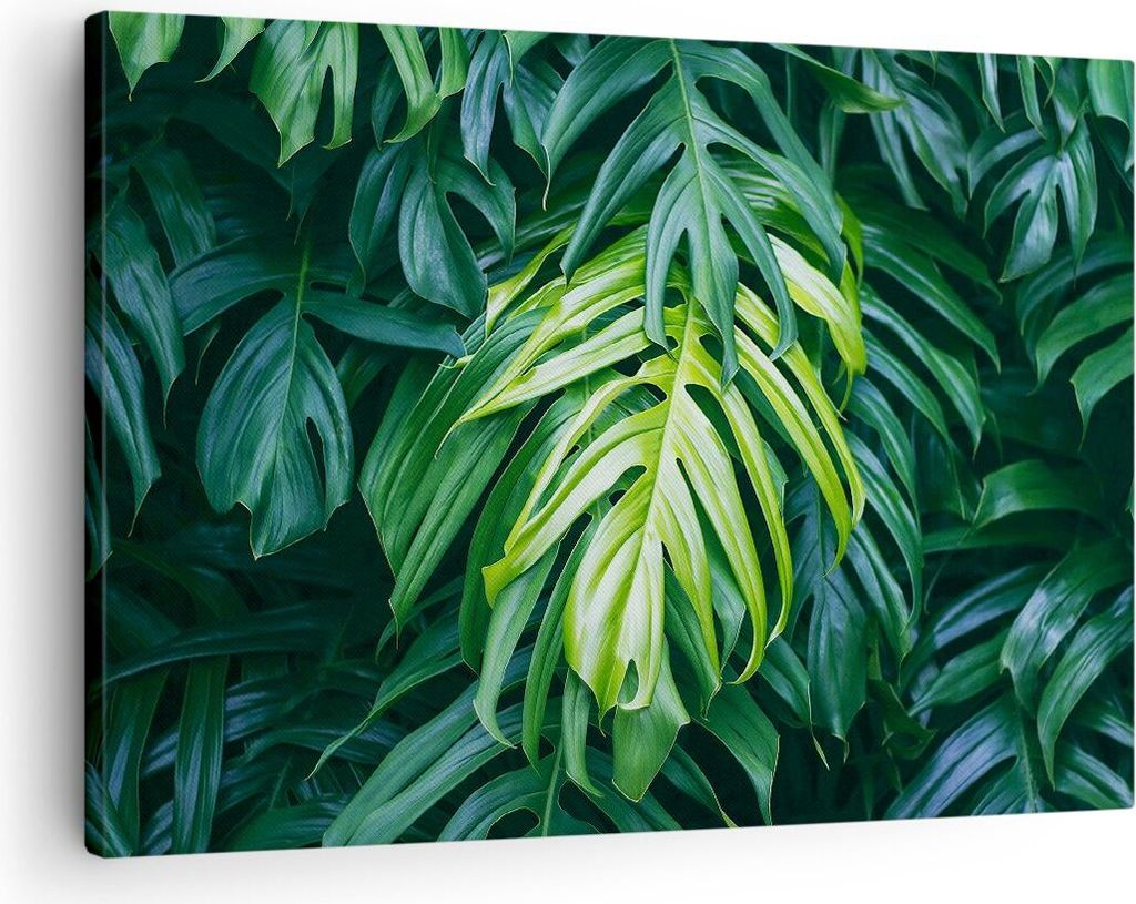 Bild auf Leinwand - Leinwandbild - Blume Natur - 70x50cm - Wand Bild - Wanddeko - Wandbilder - Leinwanddruck - Bilder - Kunstdruck - Wanddekoration...
