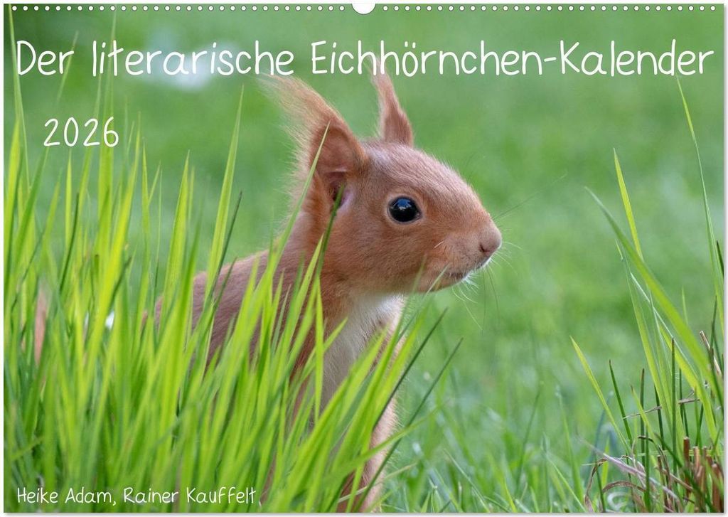 Der literarische Eichhörnchen-Kalender (Wandkalender 2026 DIN A2 quer), CALVENDO Monatskalender