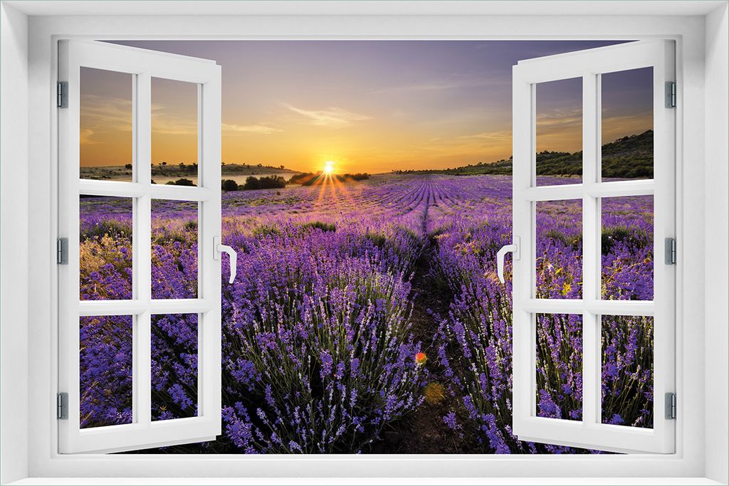Wallario Poster mit Fenster-Illusion: Sonnenuntergang über dem Lavendel, Größe: 61 x 91,5 cm (Maxiposter)