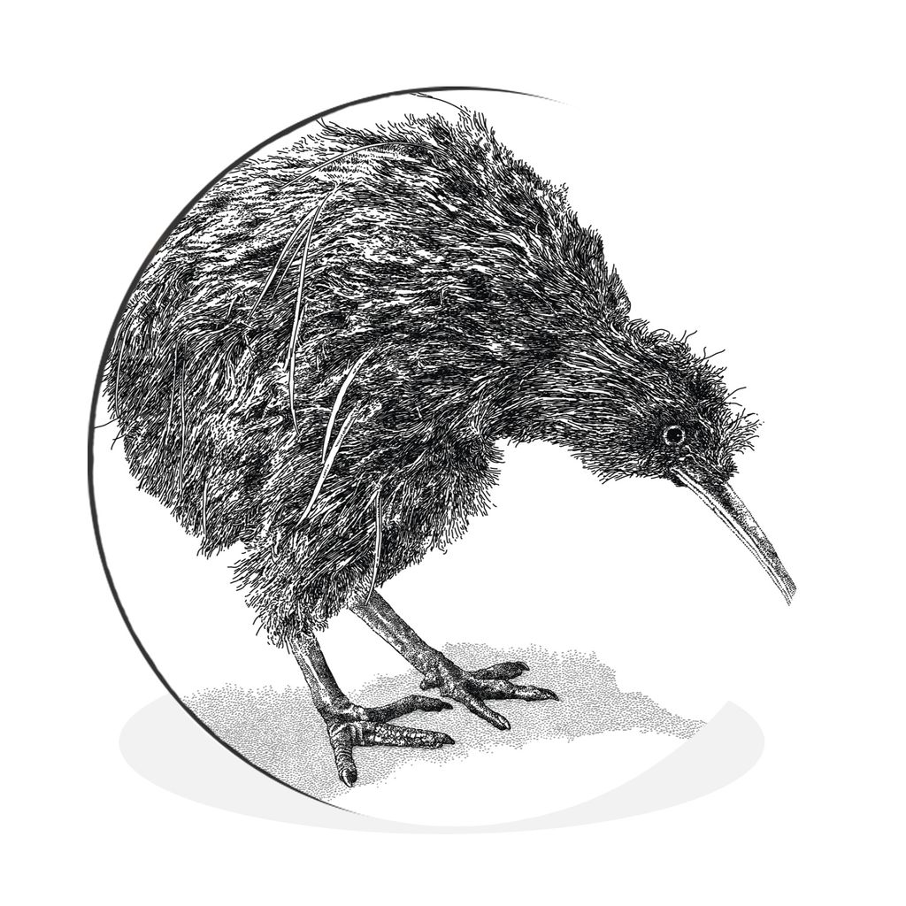 MuchoWow Aluminium Wandkreis Illustration eines Kiwi-Vogels in Schwarz und Weiß Ø 90 cm Wanddeko Modern Wohnzimmer - Mauerkreis - Wandbilder - ...