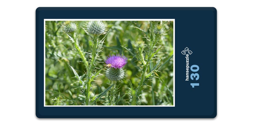 hansepuzzle 18586 - Distel Puzzle, 130 Teile, Natur, 28,7 x 20,0cm mit hochwertiger Aufbewahrung, Kartonbox und wiederverschließbarem Beutel