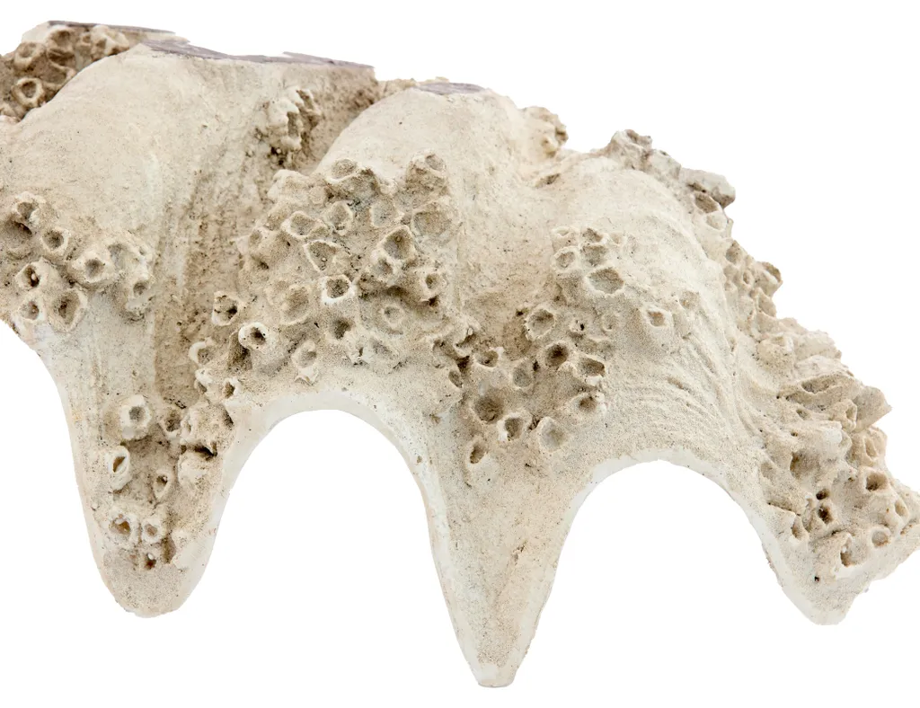 Sculpture Décorative SHELL Taupe et Crème 52cm - Objet Design Original