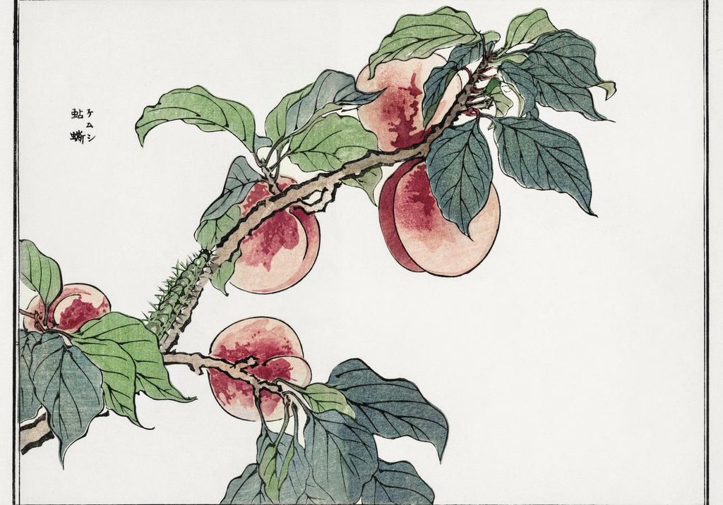 Plakat 66,5x46,5cm Raupe auf Morimoto Toko Baum Japanisch Vintage für das Wohnzimmer
