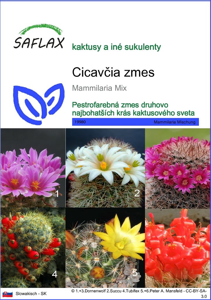SAFLAX - Cicavčia zmes - Mammilaria Mix - 40 Semená Obrázok produktu 