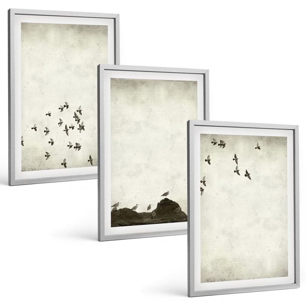 Bilder Set 3-teilig im silbergerahmten Rahmen – Wandbilder 3 Stück – gerahmte Poster für Wohnzimmer, Schlafzimmer und Flur – 40x60 cm – V...