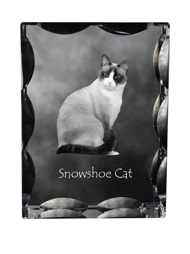 Schneeschuh-Katze - Kristall mit Katzenbild, Glasstatuette mit Bild, einzigartiger Bilderrahmen der Marke Art-Dog