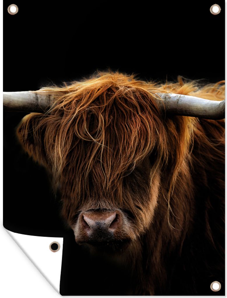 MuchoWow 60x80 cm Outdoor-Poster Gartendeko Sichtschutz Garten Poster für den Garten Schottischer Highlander - Hörner - Schwarz - Tiere - Natur...