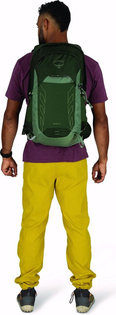 Osprey Talon 22 l Grünes Verdeck/Kiefernblatt