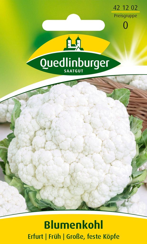 Blumenkohl Erfurt | Blumenkohlsamen von Quedlinburger Produktbild 