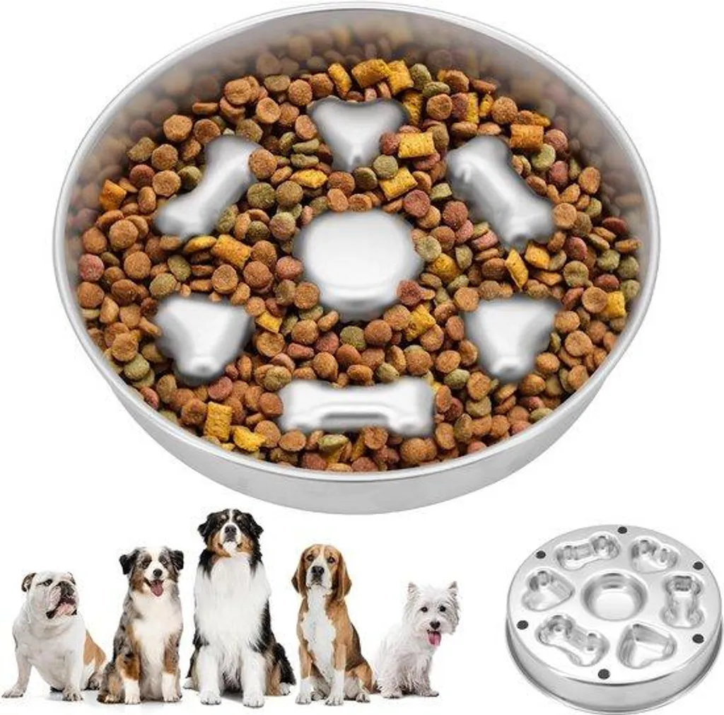 Gamelle lente pour chien glouton avec support silicone pour sol propre