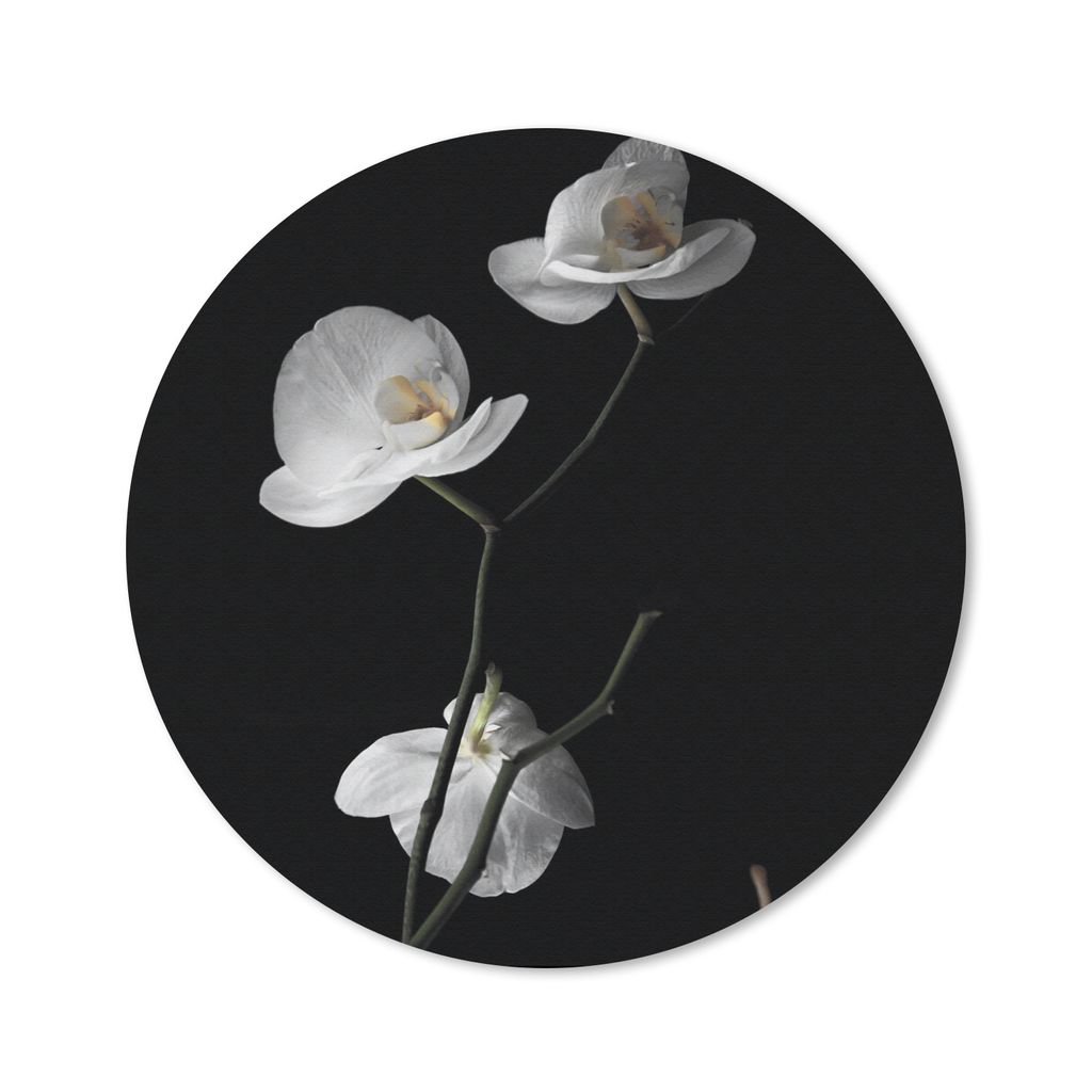 MuchoWow Mauspad Mousepad Orchidee - Blumen - Schwarz - Weiß - Stilleben 50x50 cm - Mousepads - Maus Mat - Pad - Mausunterlage - Vinyl