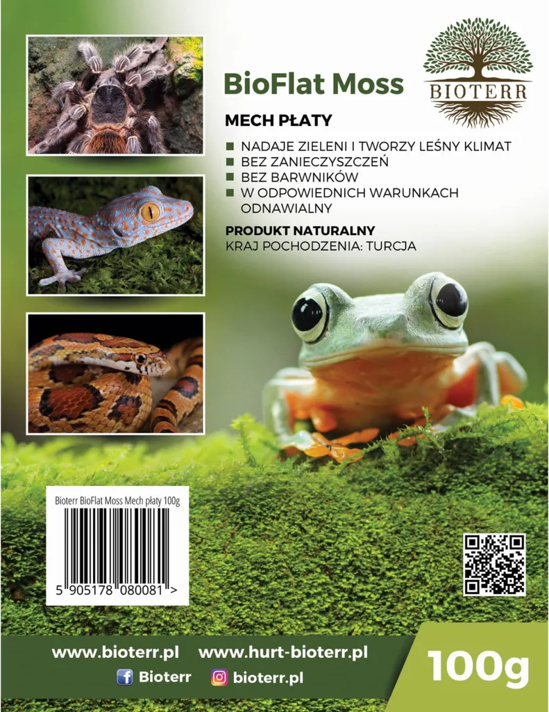 Mousse BioFlat Moss 100g pour terrarium sec et composition florale pro
