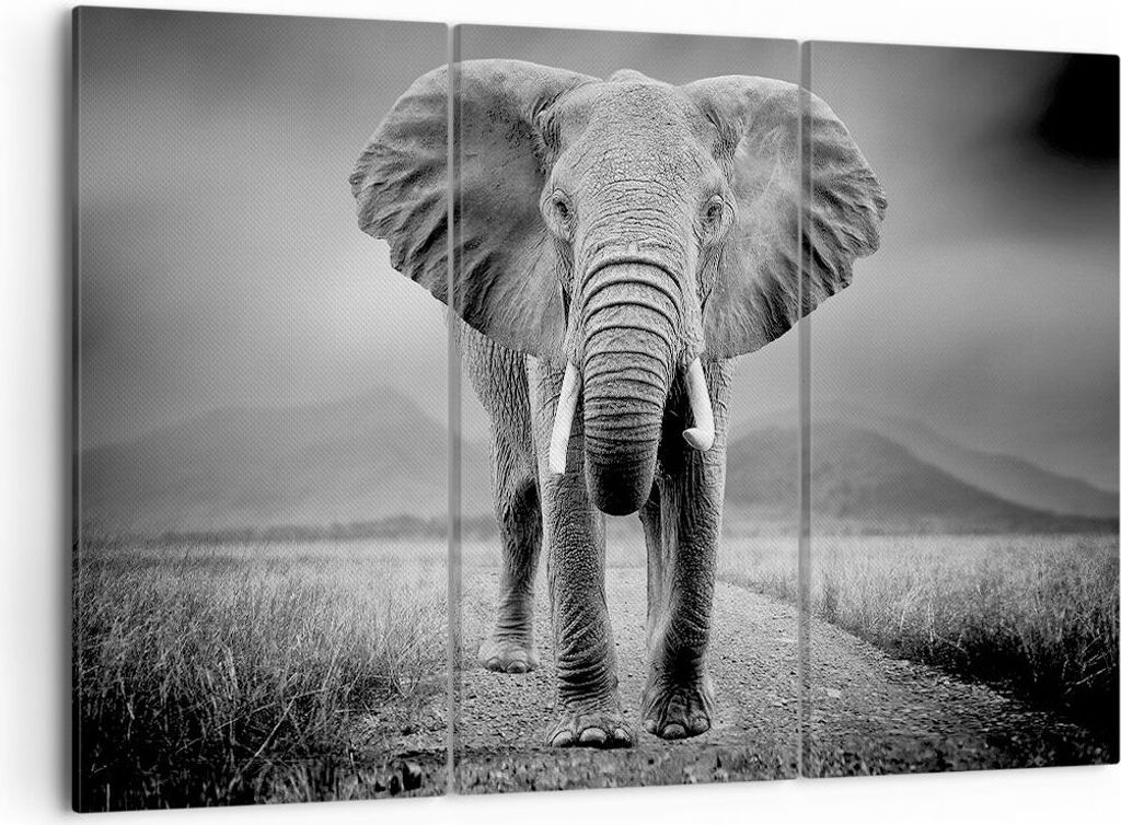 Bild auf Leinwand - Leinwandbild - 3 Teile - Elefant Produktbild 