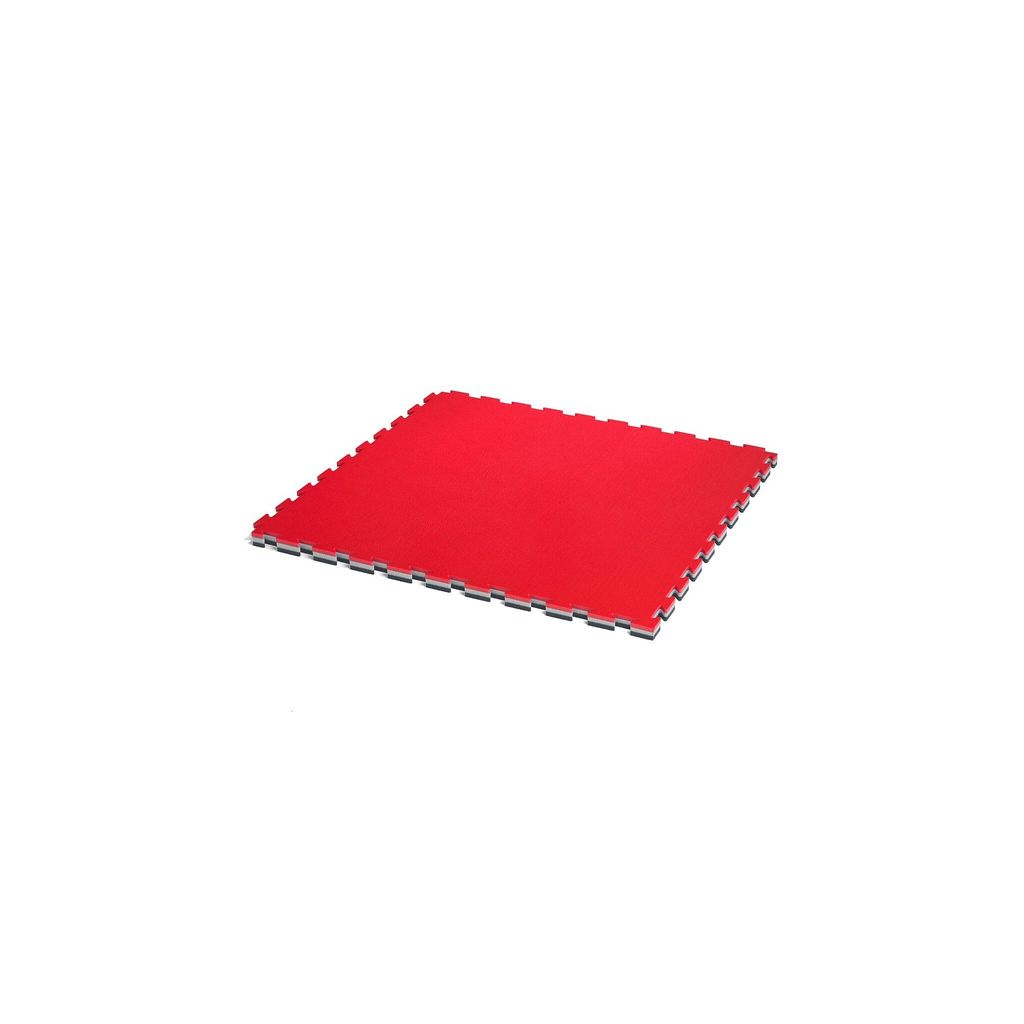 ProGame Trocellen Fitnessmatte "Tatami Gym"