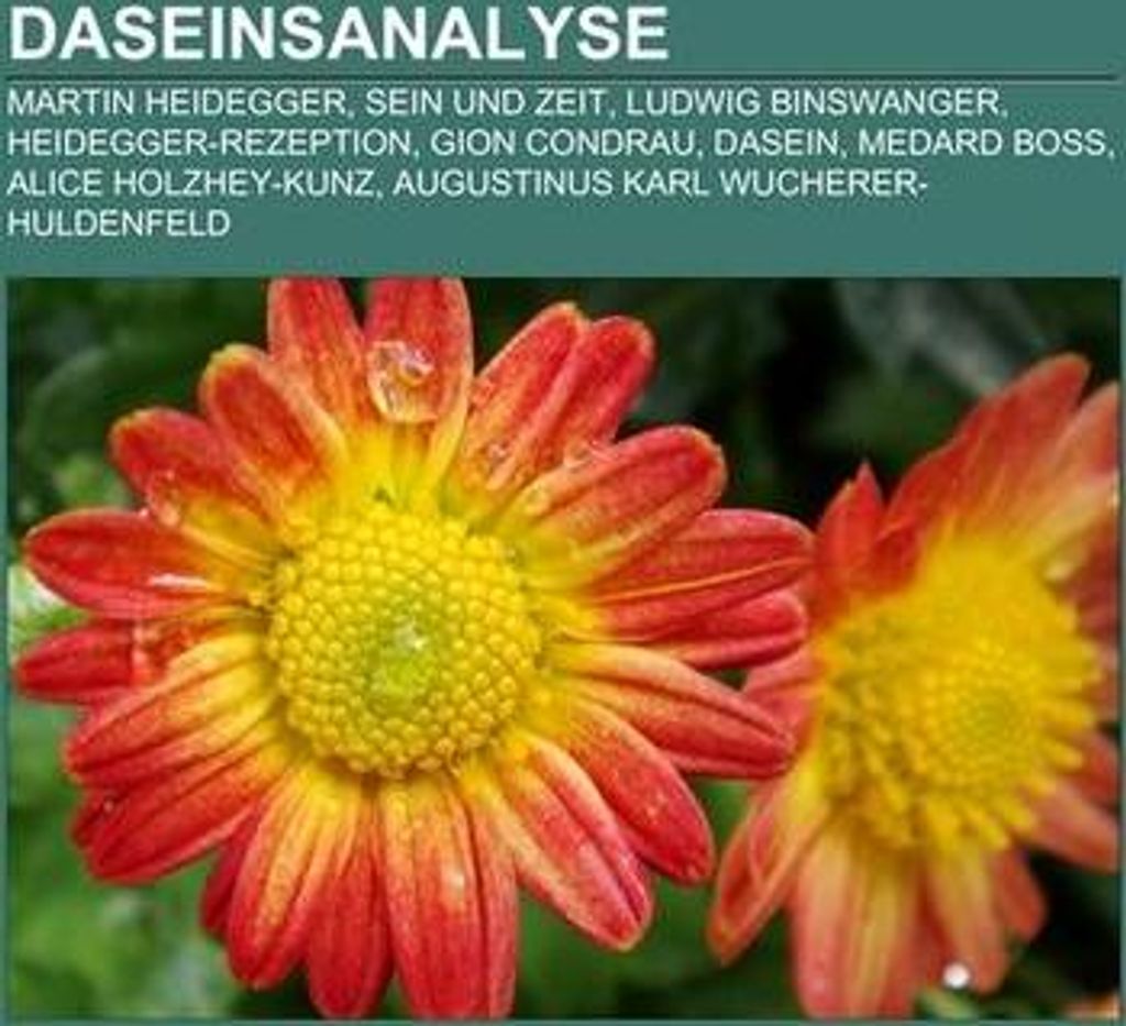 Daseinsanalyse