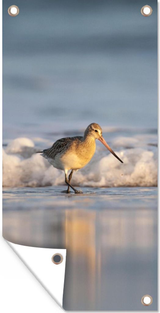 MuchoWow 80x160 cm Outdoor-Poster Gartendeko Sichtschutz Garten Poster für den Garten Rotschenkel entlang der Küstenlinie