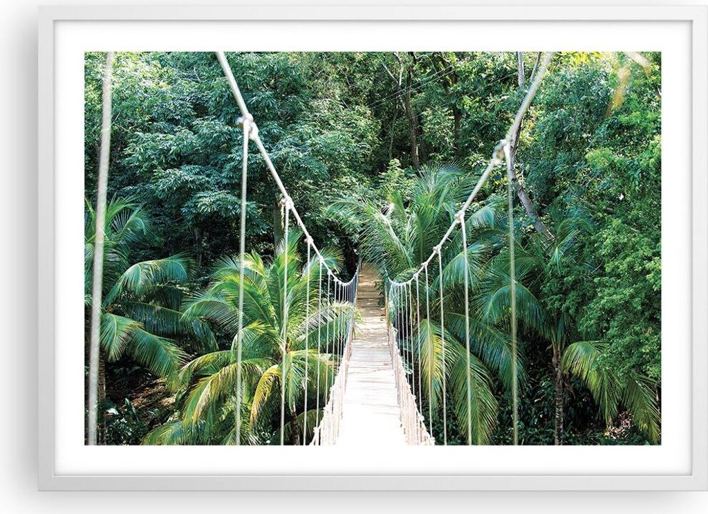 Gerahmtes Poster - Weißer Rahmen - Tropen Dschungel Brücke - 70x50 cm - Wand Bild - Wanddeko - Wandbilder - Kunstposter - Wandposter - Bilderrahm...