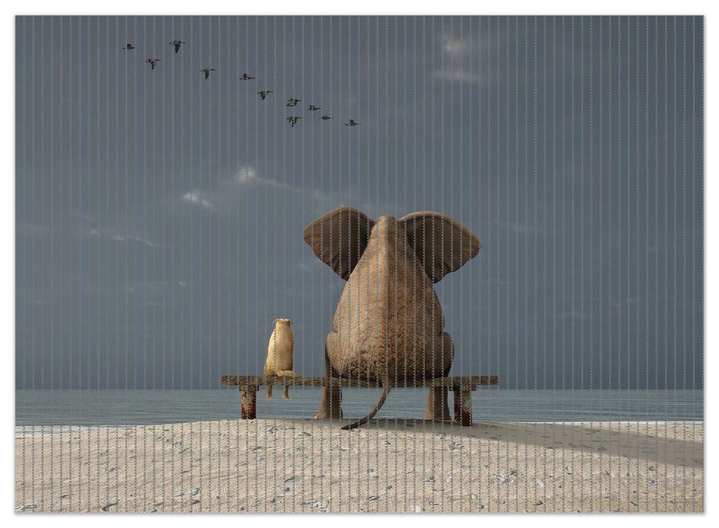 Wallario Duschmatte Antirutschmatte Badmatte Fußmatte Elefant und Hund sitzen auf einer Bank, Größe ca. 90 x 65 cm