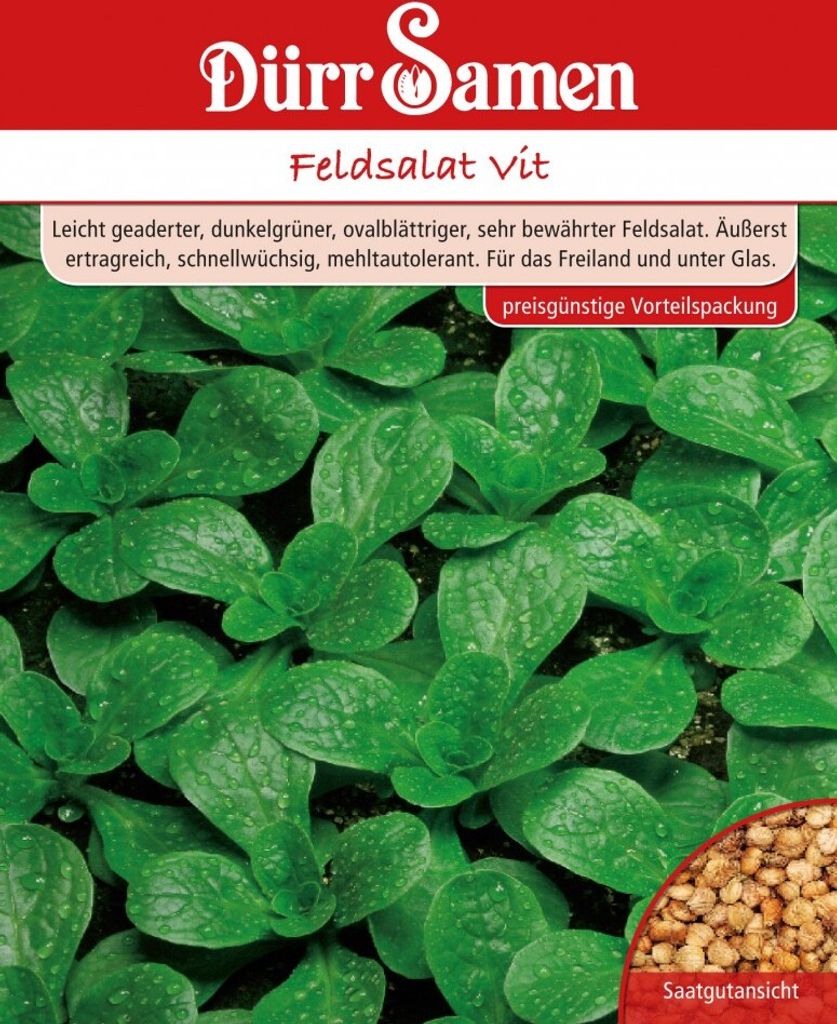 Feldsalat Vit 250 g | Feldsalatsamen von Dürr Samen