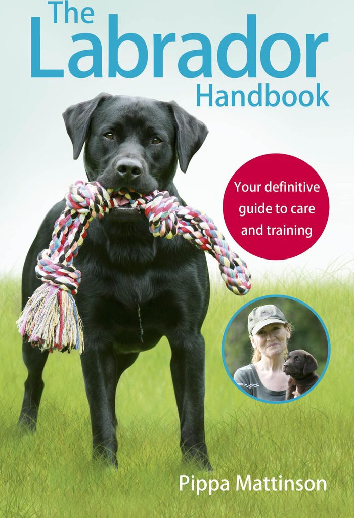 The Labrador Handbook