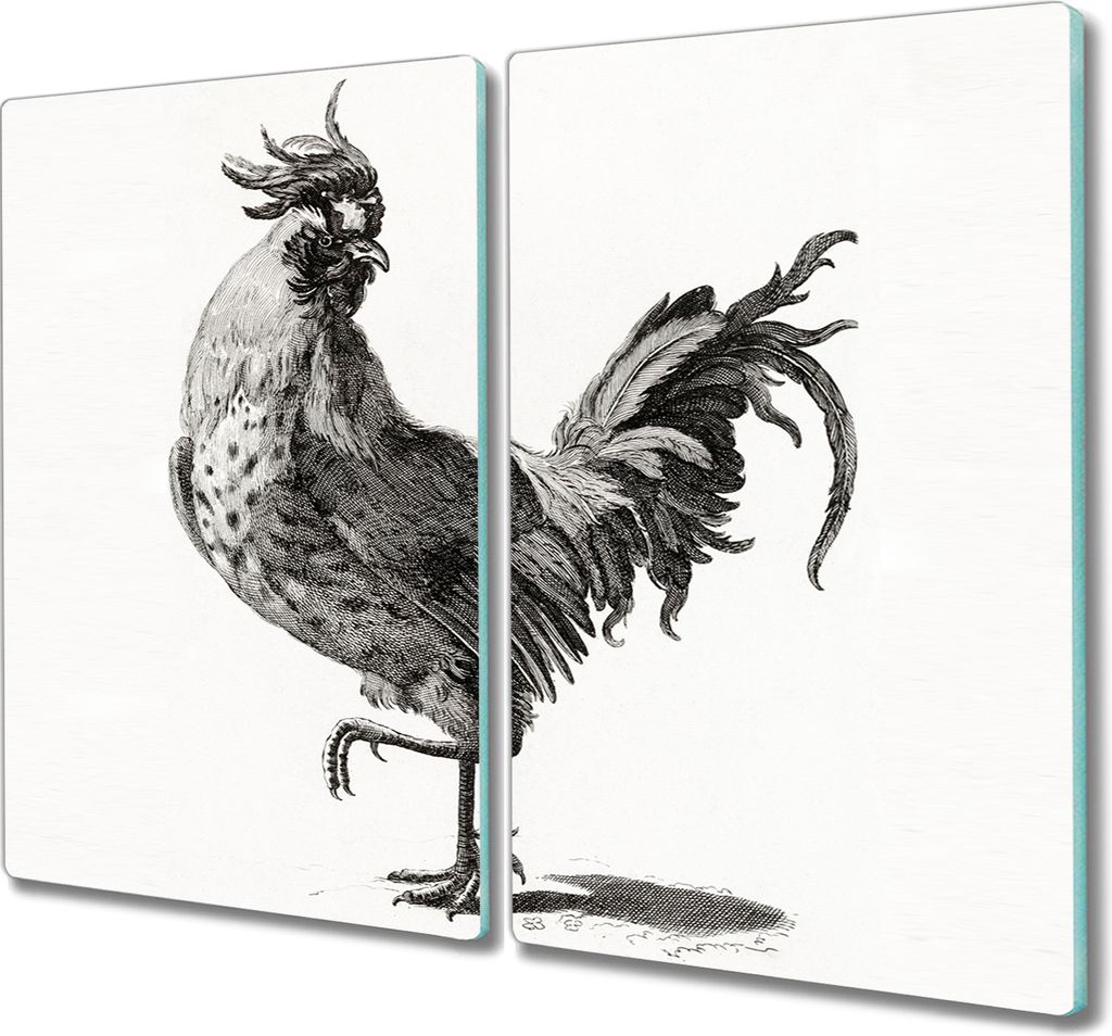 Coloray Schneidebrett Herdabdeckplatte 2x30x52 cm Kochplattenabdeckung Hackbrett Küchenbrett - Tier Vogel Huhn