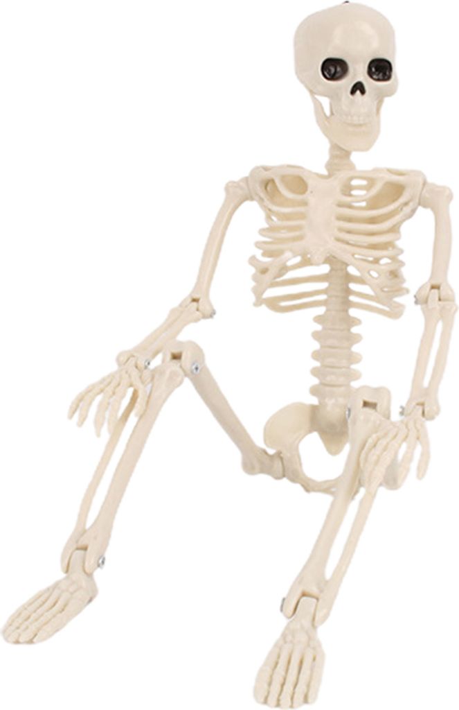 Halloween Skelett Ganzkörper bewegliche Gelenke Ornament Realistische Schreckliche Skelett Figur Statue Party Spukhaus Zubehör