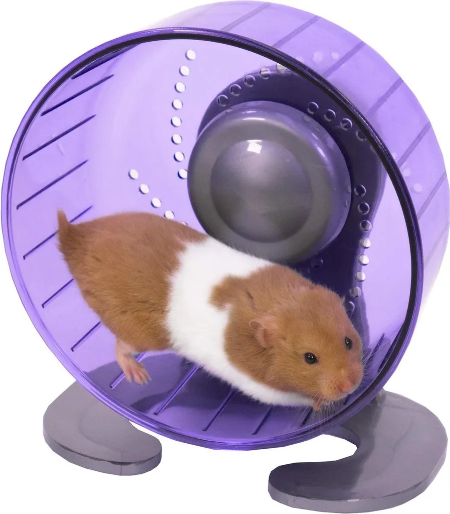 Roue d'exercice pour hamster Pico Standard - Accessoire de jeu