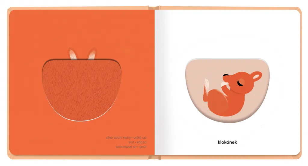 Livre bébé Moje mláďátka Klap klap idéal pour le développement