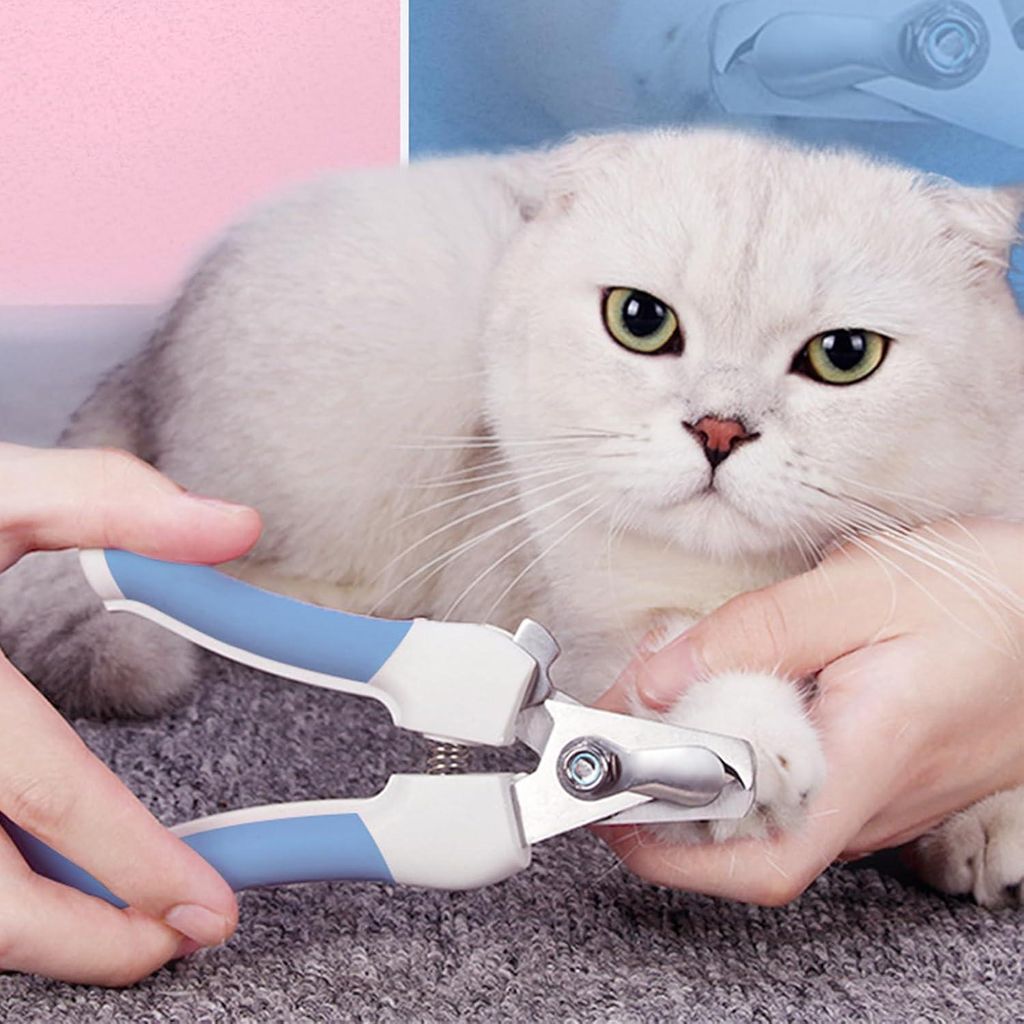Professioneller Katzennagelknipser mit Sicherheitsbeschützer - Rostfreier Stahl - Für Katzen, Kaninchen, Hamster und kleine Tiere - Blau