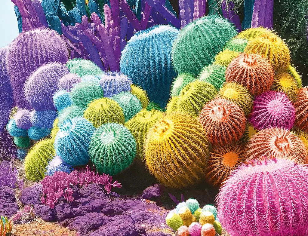 Puzzle 2000 pièces Nathan Cactus Rainbow : un défi coloré pour adultes