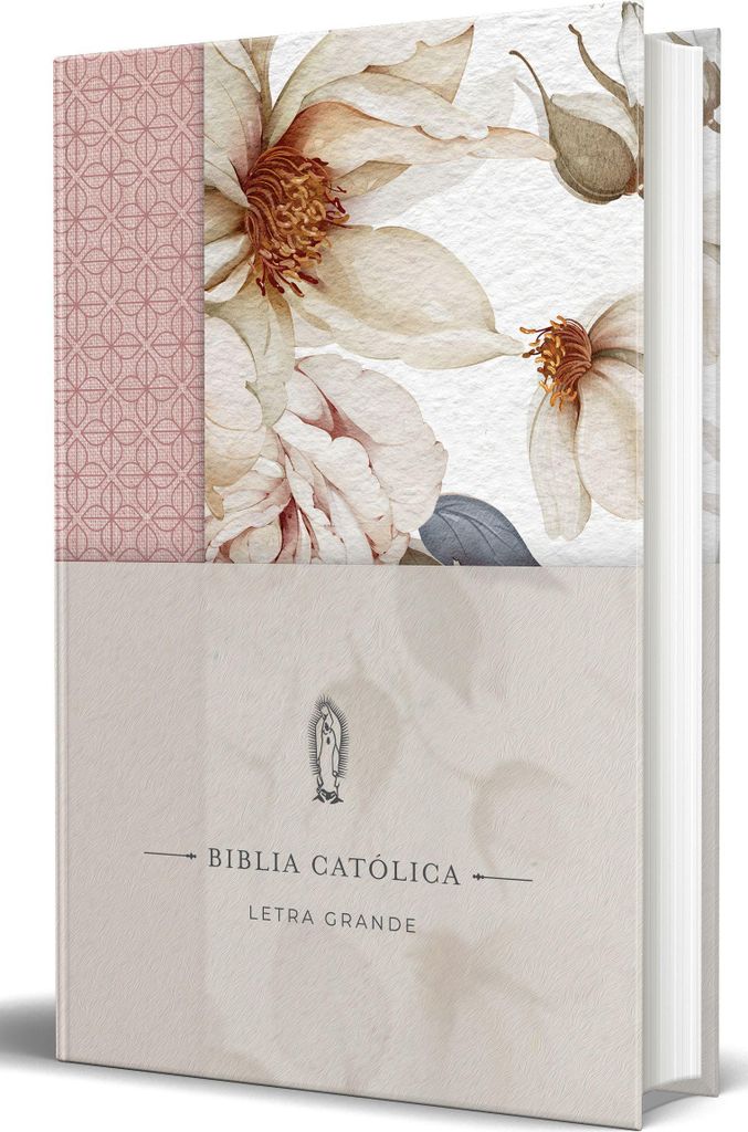 La Biblia Católica: Edición Letra Grande. Tapa Dura, Tela Produktbild 