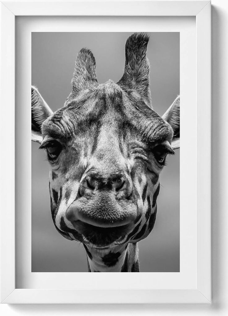 Gerahmtes Kunstwerk– Wandbild mit Rahmen – Gerahmtes Bild – Wanddekoration – 20x30 cm – Weiß