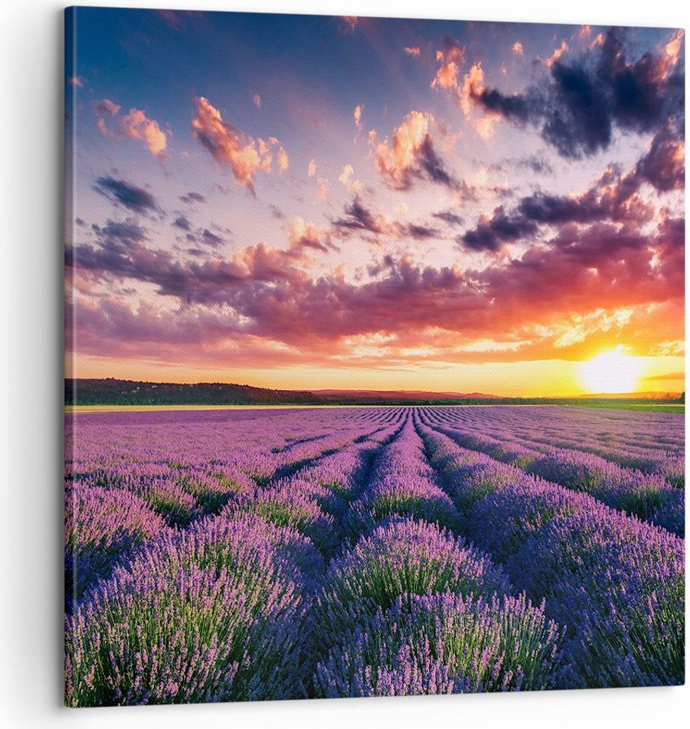 Bild auf Leinwand - Leinwandbild - Lavendel Berge Feld - 60x60cm - Wand Bild - Wanddeko - Wandbilder - Leinwanddruck - Bilder - Kunstdruck - Wandde...