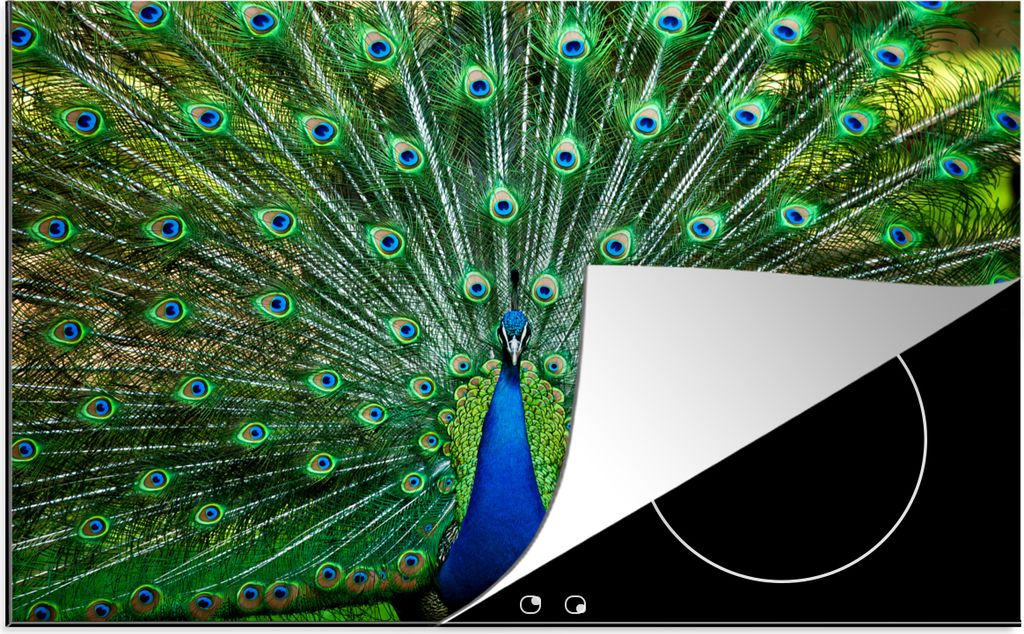 KitchenYeah Herdabdeckplatte Pfau - Tiere - Vogel , 85x52cm, Küche Deko, Glaskeramikkochfeld Herdabdeckung, Abdeckplatte fùr Kochfeld