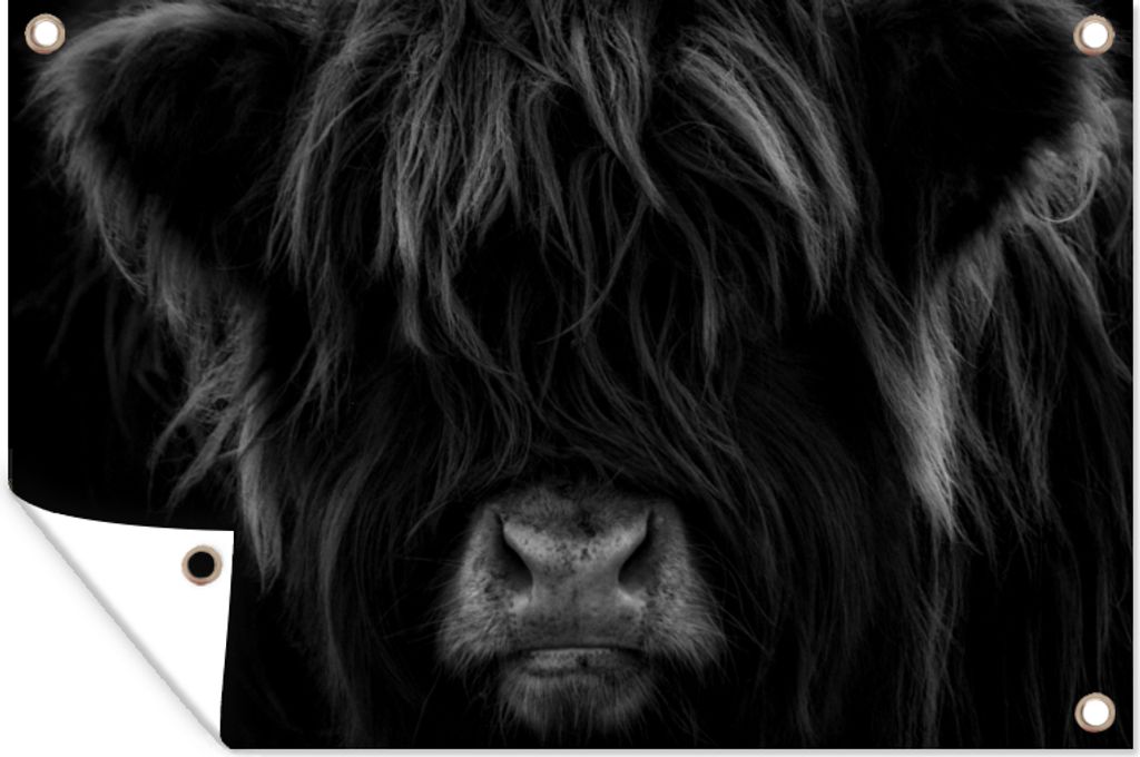MuchoWow 120x80 cm Outdoor-Poster Gartendeko Sichtschutz Garten Poster für den Garten Schottischer Highlander - Kuh - Porträt - Tiere - Schwar...