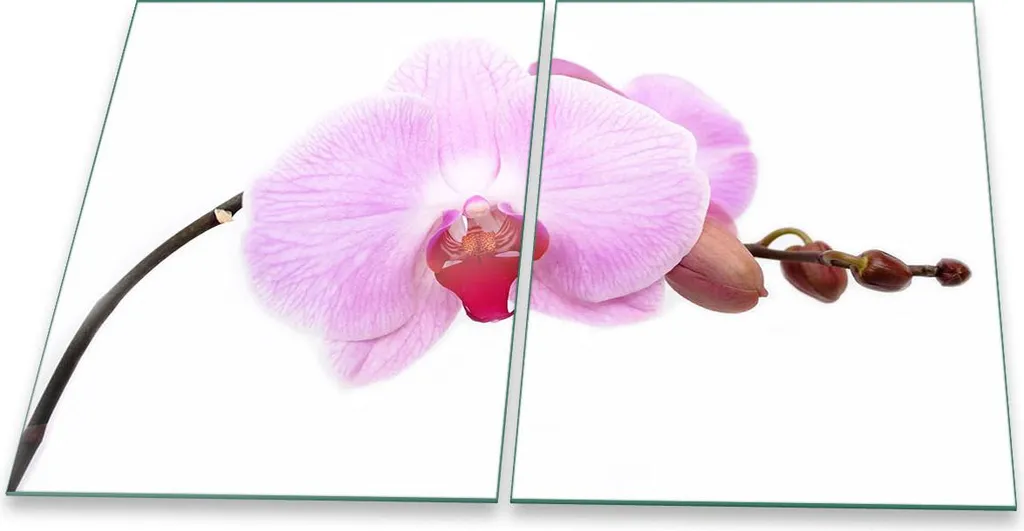 Set 2 Coprifornelli Vetro 40x52 Fiori Viola Antispruzzo e Protezione
