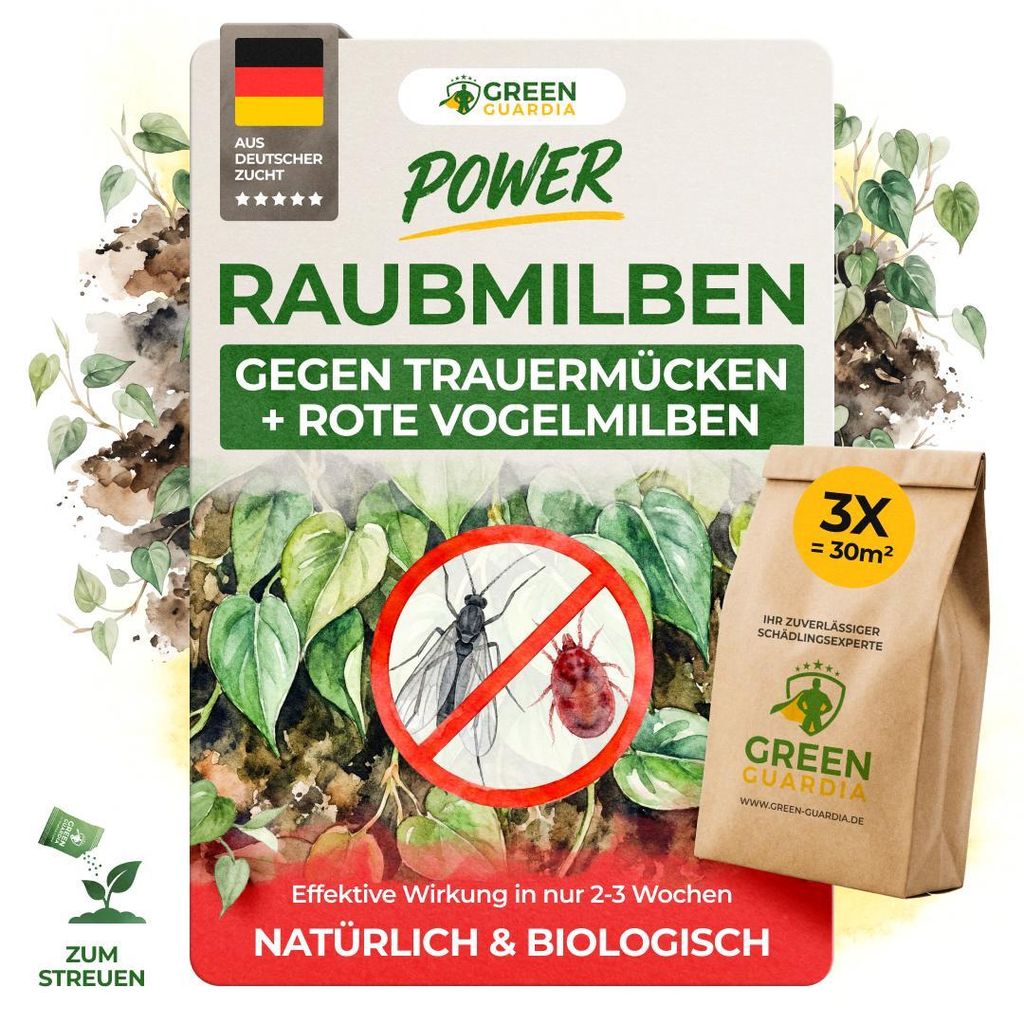 Power Raubmilben gegen Trauermücken und Rote Vogelmilbe -3x Tüten für 30m²- effektiven Trauermücken & Vogelmilben Bekämpfung. Zimmerpflanzen