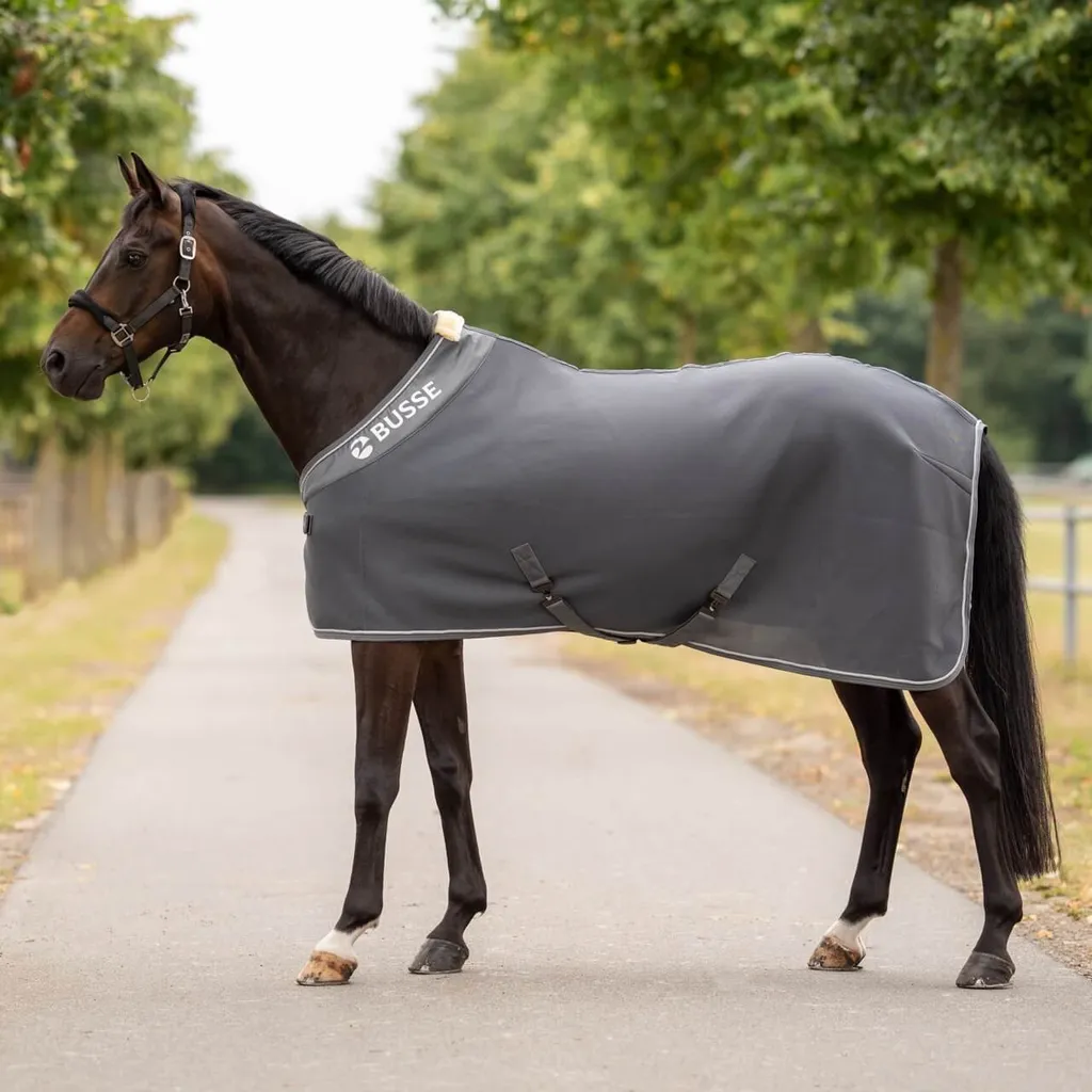 Coperta Busse 3D AIR PREMIUM: Sudorazione Rapida e Protezione Cavallo