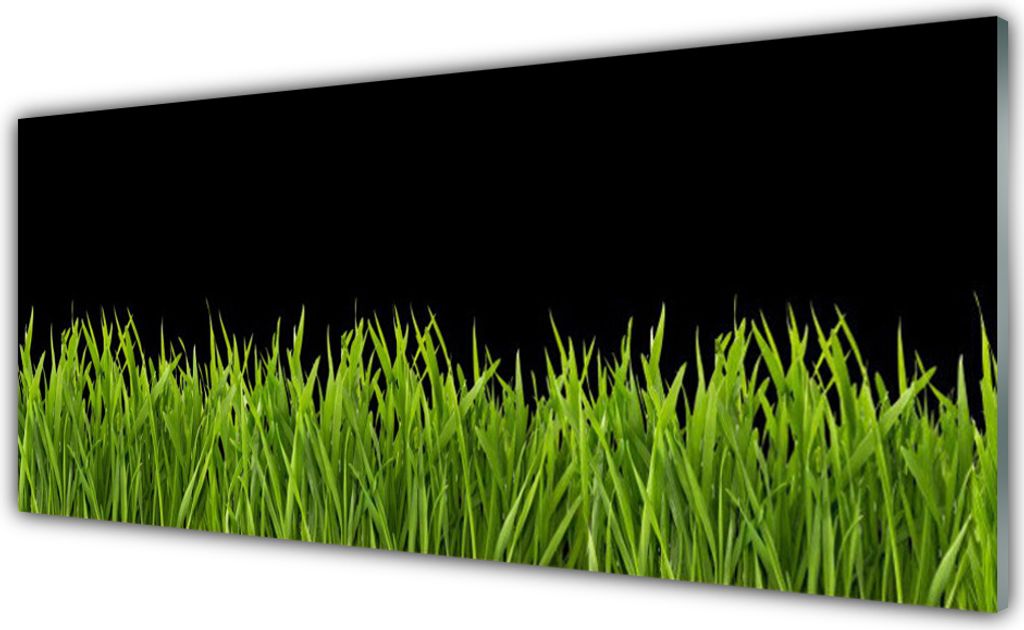 Acrylglasbilder 125x50 Wandbild Druck Gras Natur