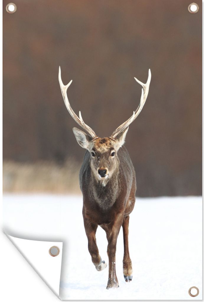 MuchoWow 60x90 cm Outdoor-Poster Gartendeko Sichtschutz Garten Poster für den Garten Rotwild - Schnee - Lauf