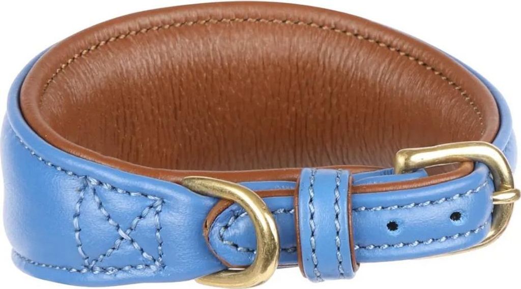 Digby & Fox - Hundehalsband für Windhunde, Leder, Wattiert ER2094 (L - Neckline: 35 cm-39 cm) (Königsblau)