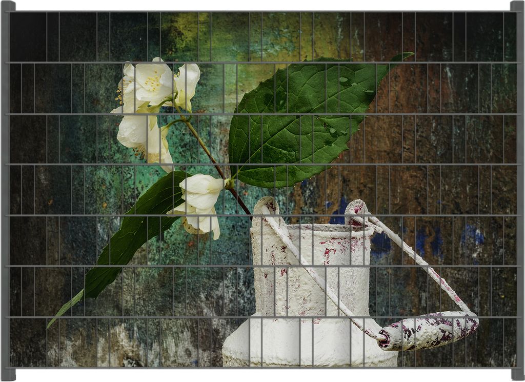 Wallario Zaunsichtschutz mit Motiv Jasmin Blumen in einer alten Milchkanne für Ein- und Doppelstabmatten Zäune in der Größe 200 x 140 cm
