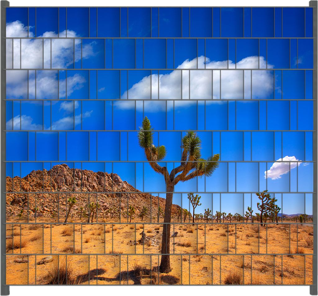 Wallario Zaunsichtschutz mit Motiv Palmlilie im Nationalpark Yucca Valley Wüstenlandschaft für Ein- und Doppelstabmatten Zäune in der Größe 20...