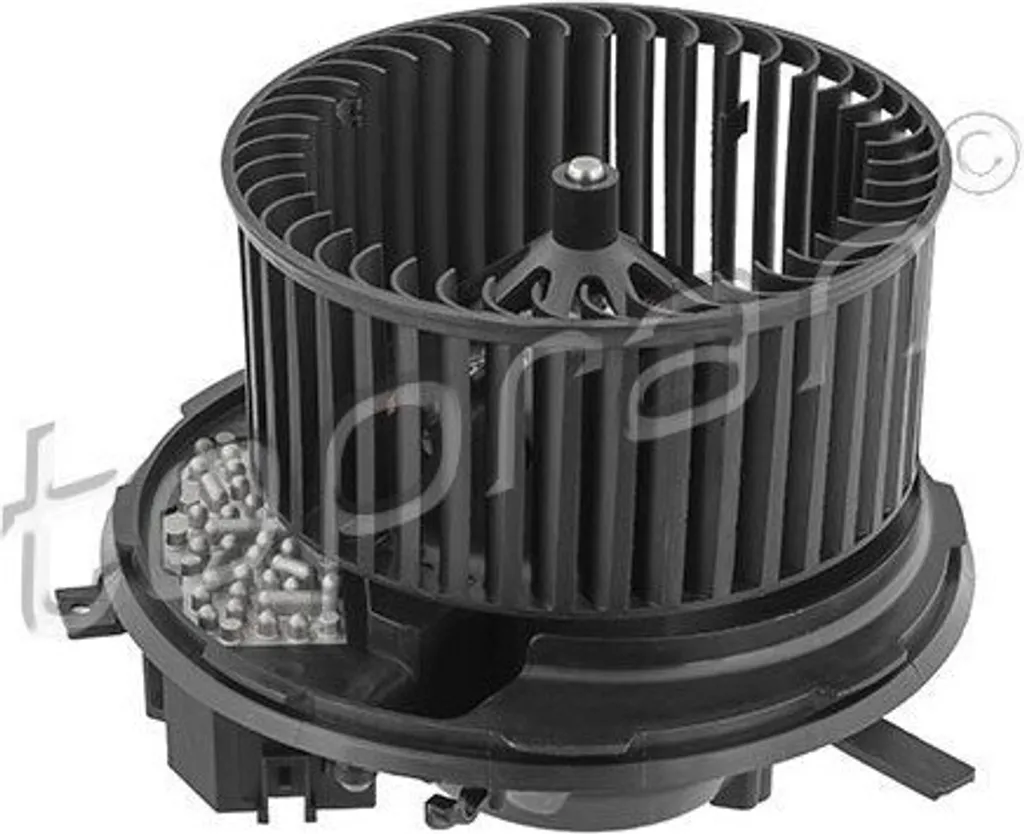 Pommeau de Vitesse Renault Twizy et Twingo - Accessoire de Changement