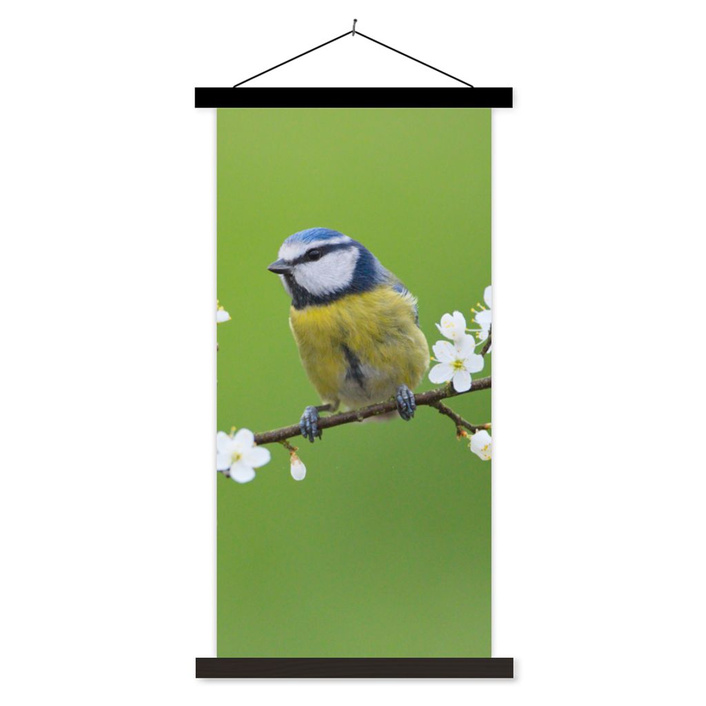 MuchoWow Textilposter Blaumeise - Zweig - Blumen - Blühende Zweige - Vogel 60x120 cm mit schwarzem Rahmen - Magnete